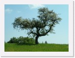 freinberger_fruehling119 * 2016 x 1512 * (839KB)