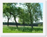 freinberger_fruehling120 * 2016 x 1512 * (876KB)