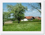 freinberger_fruehling122 * 2016 x 1512 * (935KB)