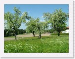 freinberger_fruehling123 * 2016 x 1512 * (888KB)