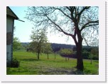 freinberger_fruehling133 * 2016 x 1512 * (824KB)