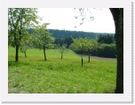 freinberger_fruehling135 * 2016 x 1512 * (984KB)