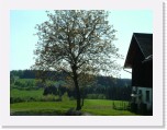 freinberger_fruehling138 * 2016 x 1512 * (840KB)