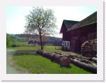 freinberger_fruehling139 * 2016 x 1512 * (884KB)