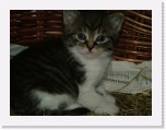 freinberger_fruehling148 * 2016 x 1512 * (821KB)