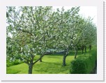 freinberger_fruehling154 * 2016 x 1512 * (863KB)