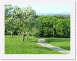 freinberger_fruehling158 * 2016 x 1512 * (866KB)