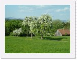 freinberger_fruehling160 * 2016 x 1512 * (873KB)