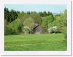 freinberger_fruehling163 * 2016 x 1512 * (831KB)