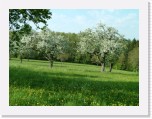 freinberger_fruehling164 * 2016 x 1512 * (867KB)