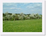 freinberger_fruehling165 * 2016 x 1512 * (919KB)