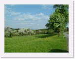freinberger_fruehling166 * 2016 x 1512 * (855KB)