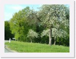 freinberger_fruehling167 * 2016 x 1512 * (850KB)