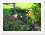 freinberger_fruehling171 * 2016 x 1512 * (862KB)