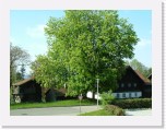freinberger_fruehling173 * 2016 x 1512 * (862KB)