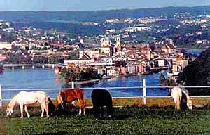 Blick von Freinberg auf Passau